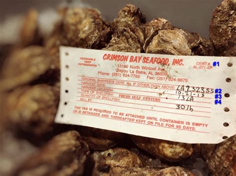 Tag: oyster .